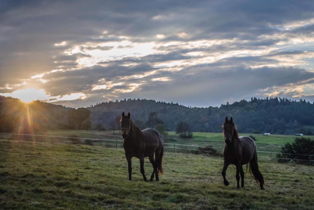 Апартаменти Molfar, Beskid Niski , Polowa Domu Polany  Екстер'єр фото